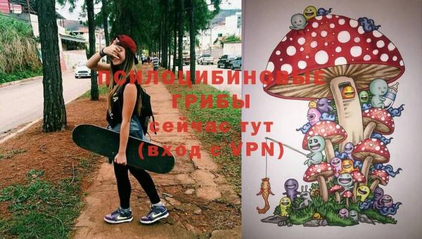 гидра Абдулино