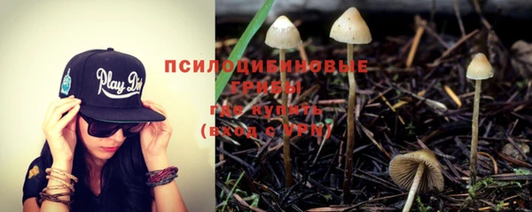 мет Алексин
