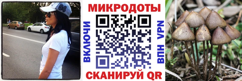 Галлюциногенные грибы Cubensis  Зея 